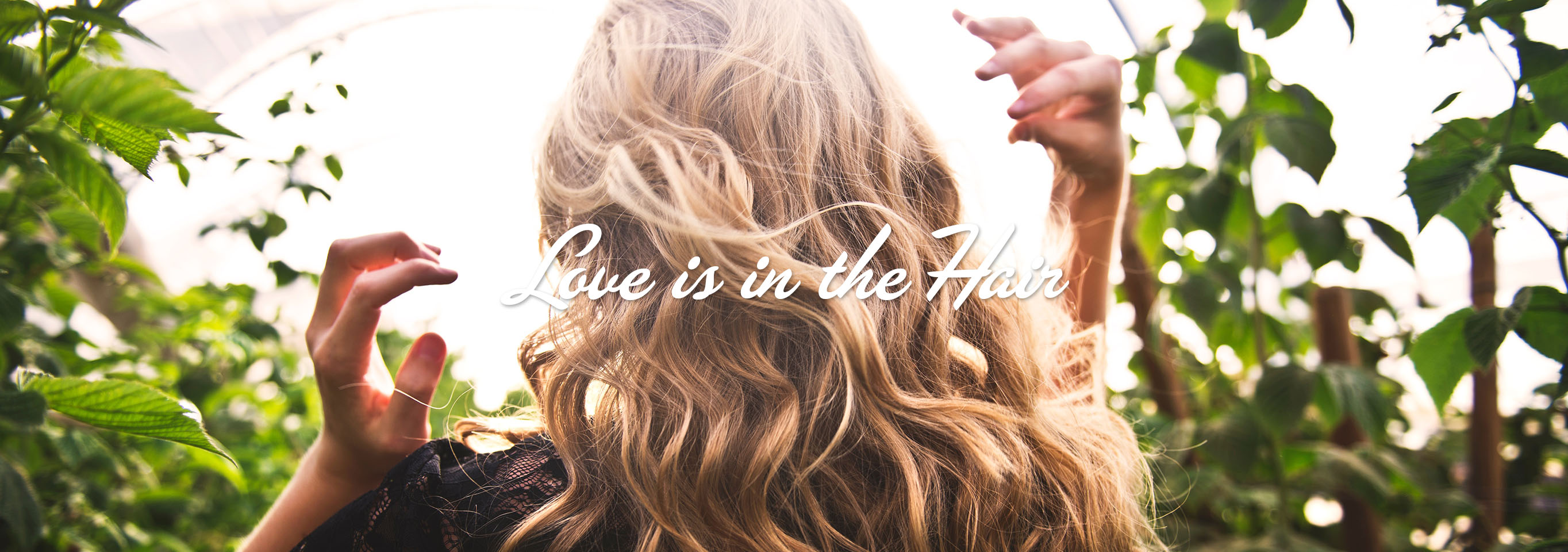 Love is in the Hair